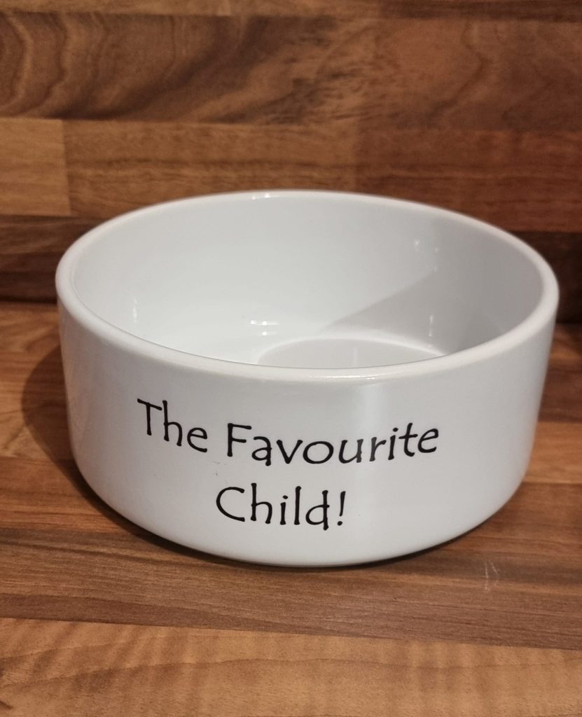 Printed Quote Dog Bowls Pantings Pooch Treats