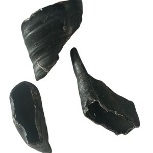 3 Natural Lamb Hooves – Long-Lasting & Protein-Rich Dog Chews